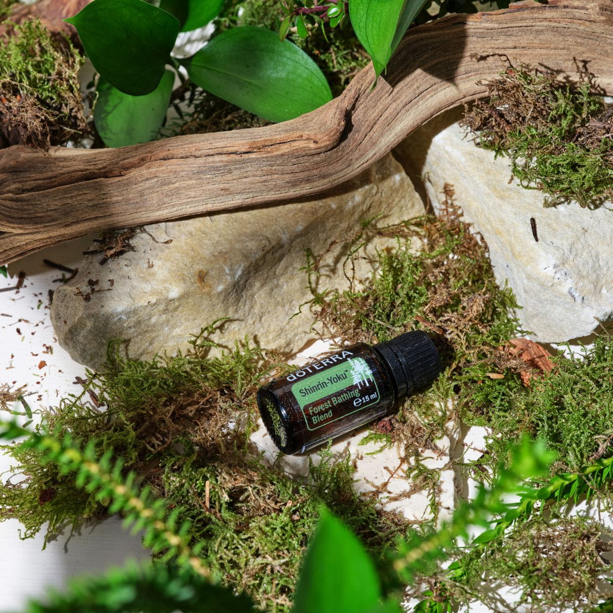 ピノdoTERRA Olejek dōTERRA | Petitgrain | Olejek z Gorzkiej Pomarańczy